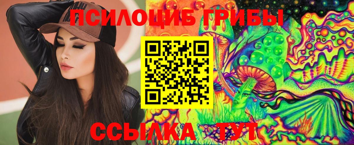 Борзя  купить наркоту  Вход с VPN  Галлюциногенные грибы прущие грибы  Галлюциногенные грибы MAGIC MUSHROOMS 