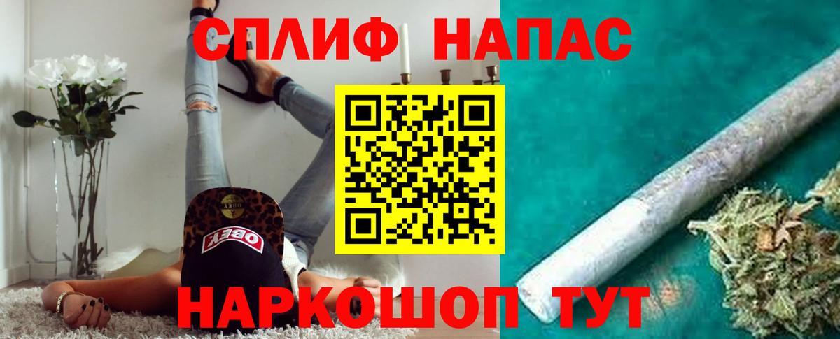 Бошки Шишки планчик Борзя